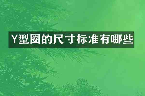 Y型圈的尺寸标准有哪些