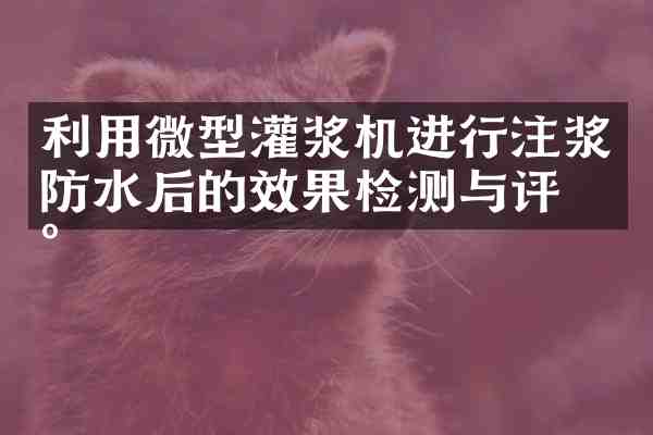 利用微型灌浆机进行注浆防水后的效果检测与评估