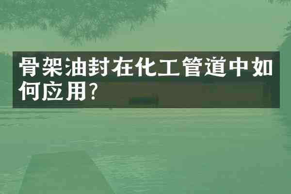 骨架油封在化工管道中如何应用?