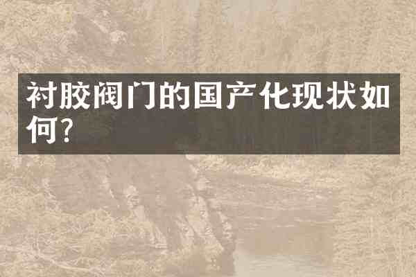 衬胶阀门的国产化现状如何?