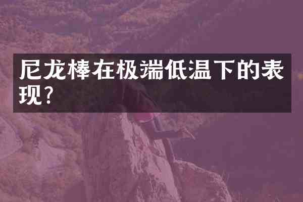 尼龙棒在极端低温下的表现？
