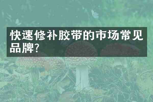快速修补胶带的市场常见品牌？