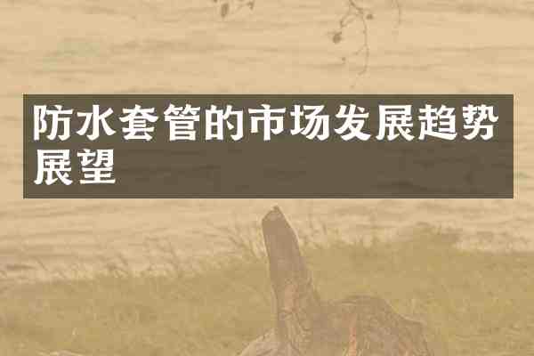 防水套管的市场发展趋势展望