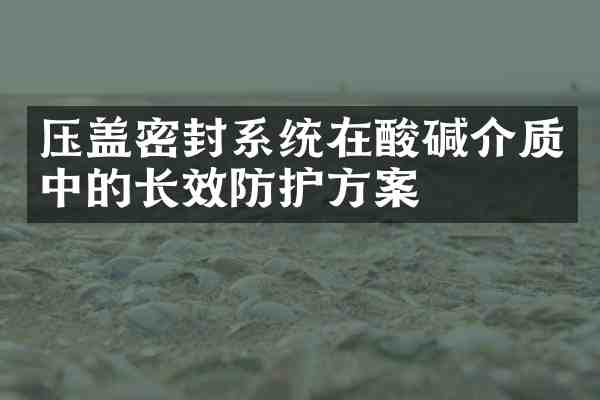压盖密封系统在酸碱介质中的长效防护方案