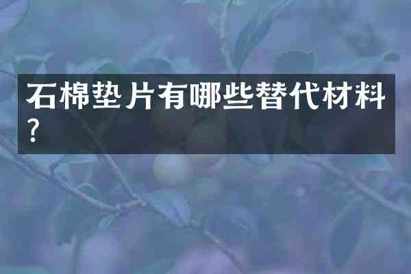 石棉垫片有哪些替代材料?