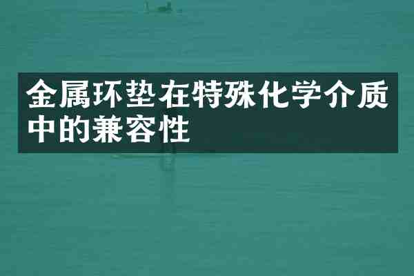 金属环垫在特殊化学介质中的兼容性