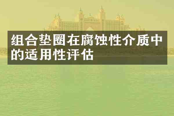 组合垫圈在腐蚀性介质中的适用性评估