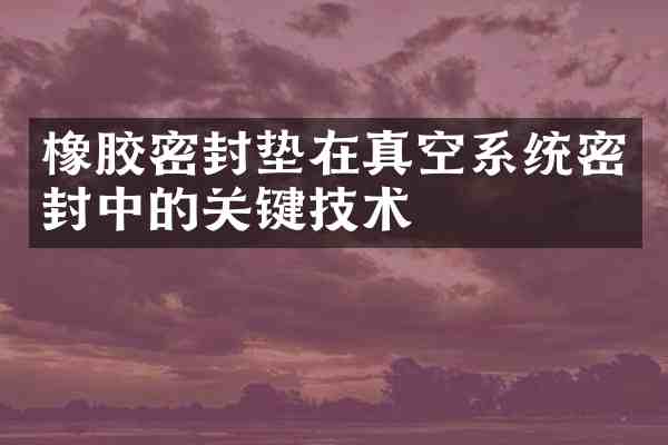 橡胶密封垫在真空系统密封中的关键技术