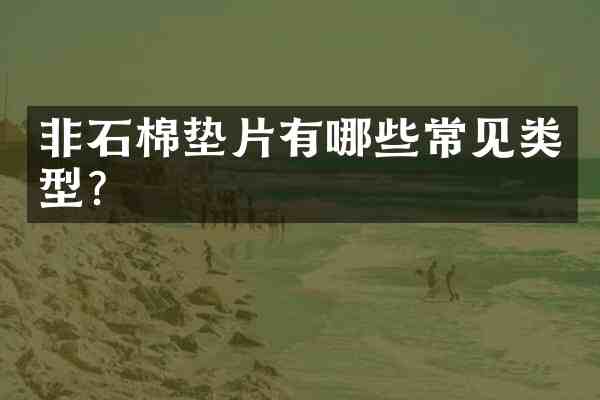 非石棉垫片有哪些常见类型?
