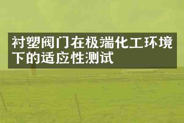衬塑阀门在极端化工环境下的适应性测试