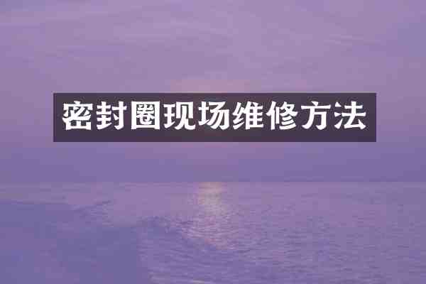 密封圈现场维修方法