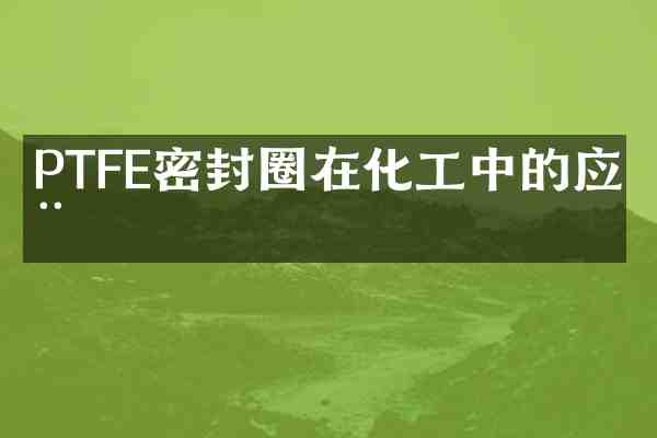 PTFE密封圈在化工中的应用