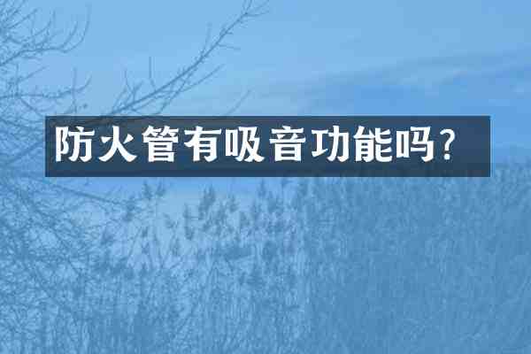 防火管有吸音功能吗?