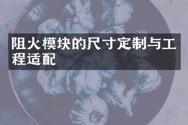 阻火模块的尺寸定制与工程适配