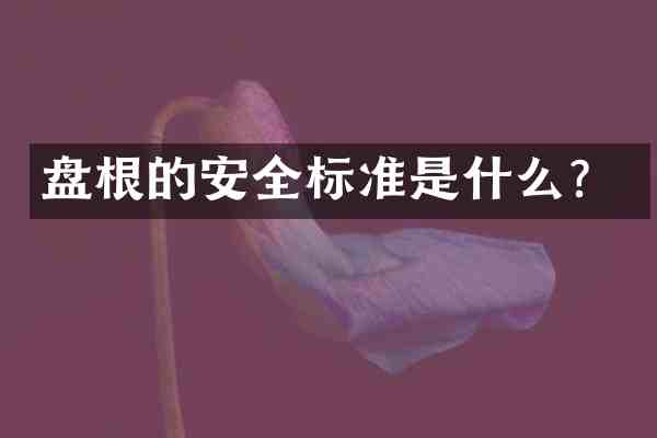 盘根的安全标准是什么?