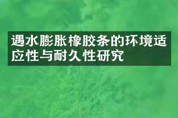 遇水膨胀橡胶条的环境适应性与耐久性研究