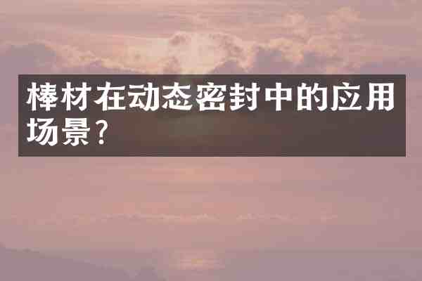 棒材在动态密封中的应用场景?