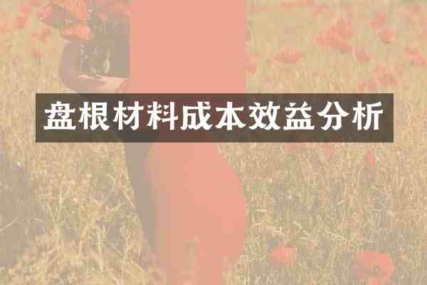 盘根材料成本效益分析