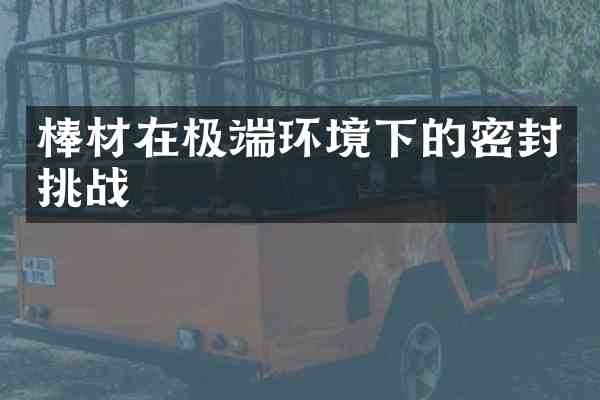棒材在极端环境下的密封挑战