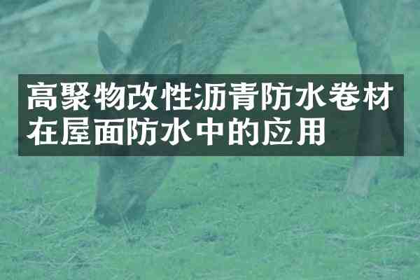 高聚物改性沥青防水卷材在屋面防水中的应用
