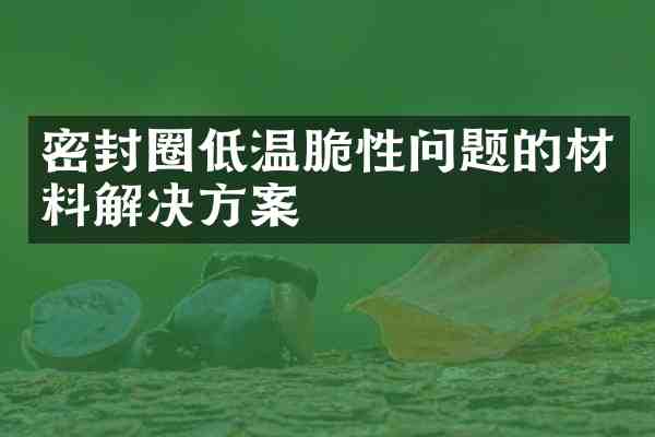 密封圈低温脆性问题的材料解决方案