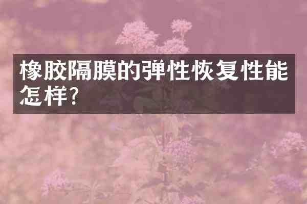 橡胶隔膜的弹性恢复性能怎样？
