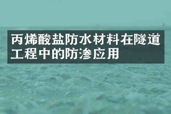 丙烯酸盐防水材料在隧道工程中的防渗应用