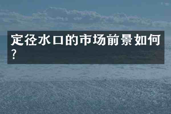 定径水口的市场前景如何?