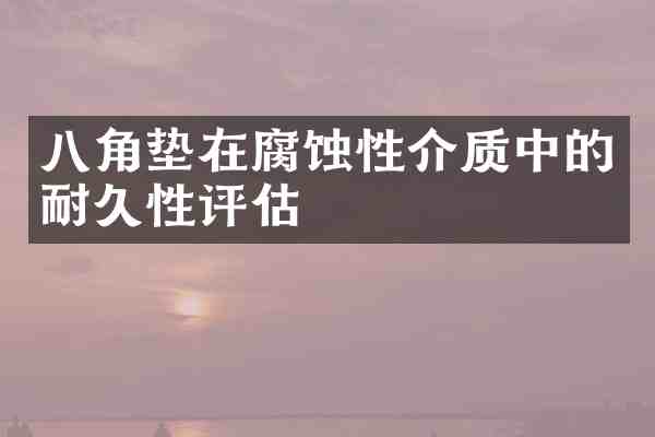 八角垫在腐蚀性介质中的耐久性评估