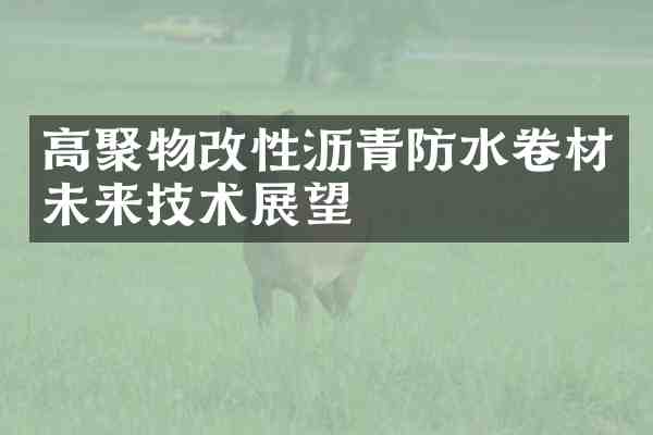高聚物改性沥青防水卷材未来技术展望