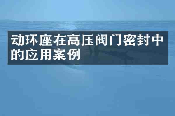 动环座在高压阀门密封中的应用案例