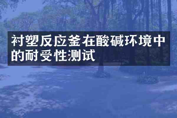 衬塑反应釜在酸碱环境中的耐受性测试
