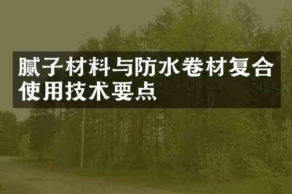 腻子材料与防水卷材复合使用技术要点