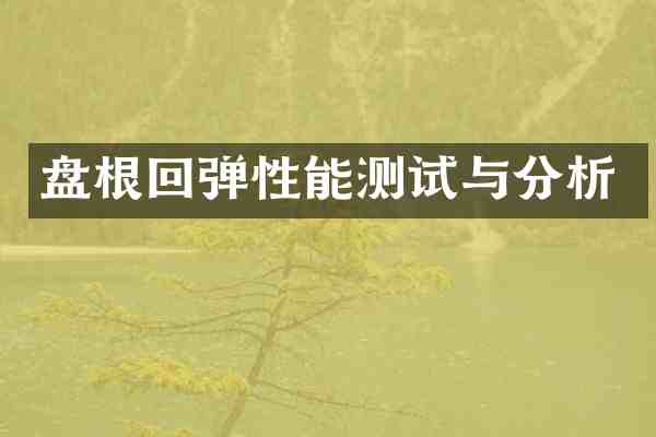 盘根回弹性能测试与分析