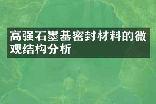 高强石墨基密封材料的微观结构分析