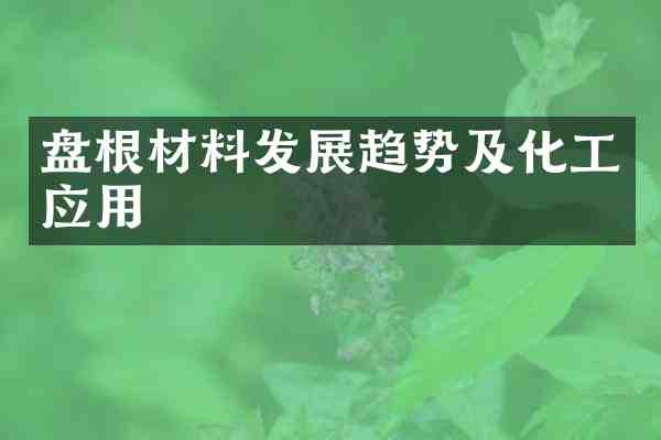 盘根材料发展趋势及化工应用