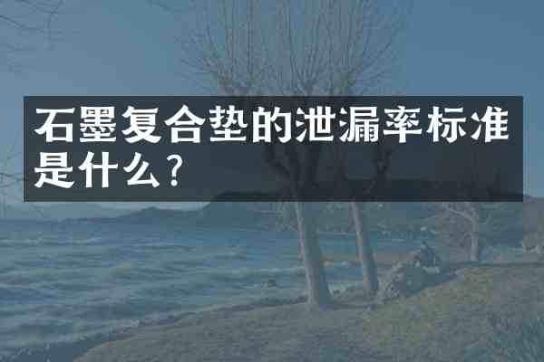 石墨复合垫的泄漏率标准是什么？