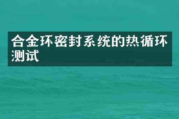 合金环密封系统的热循环测试