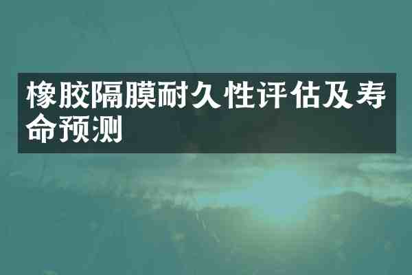 橡胶隔膜耐久性评估及寿命预测