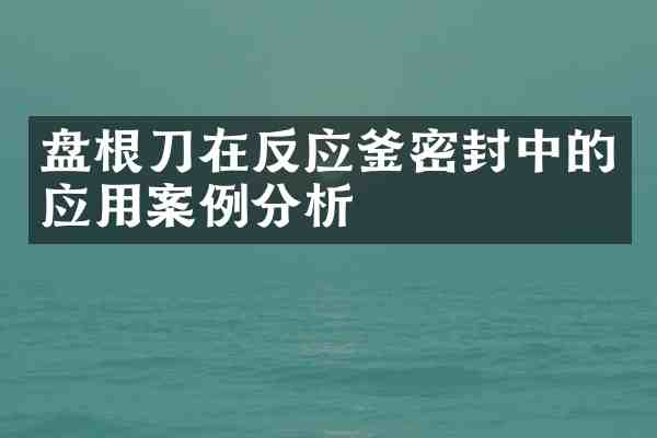 盘根刀在反应釜密封中的应用案例分析