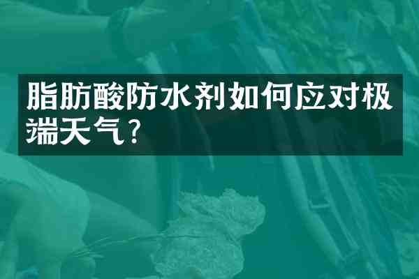 脂肪酸防水剂如何应对极端天气?