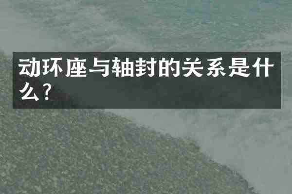 动环座与轴封的关系是什么?