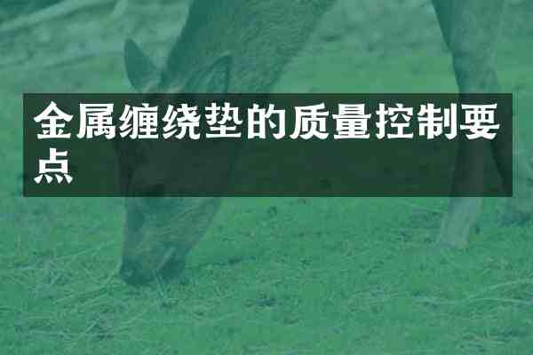 金属缠绕垫的质量控制要点