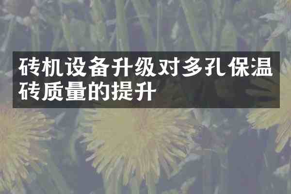 砖机设备升级对多孔保温砖质量的提升