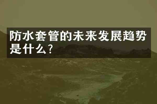 防水套管的未来发展趋势是什么?