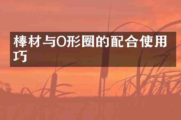 棒材与O形圈的配合使用技巧