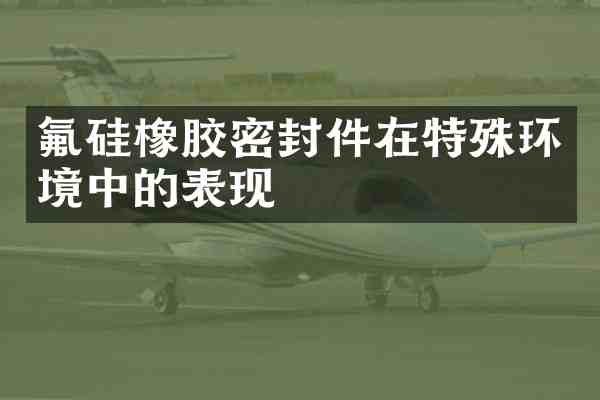 氟硅橡胶密封件在特殊环境中的表现