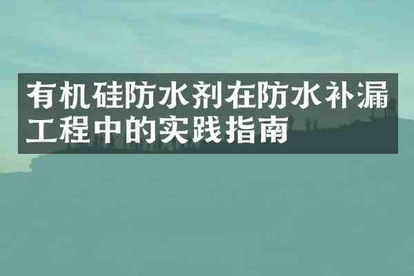 有机硅防水剂在防水补漏工程中的实践指南