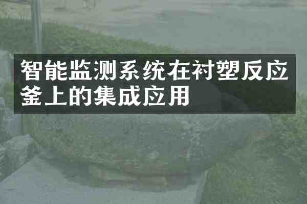 智能监测系统在衬塑反应釜上的集成应用
