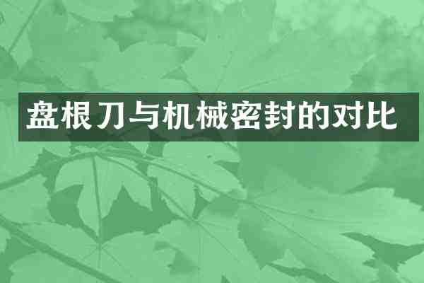 盘根刀与机械密封的对比